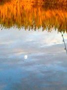 Doar ... NATURA - 3